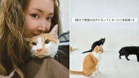 【 熊本地震 】〝震災で愛猫が迷子になってしまったご家族様へ〟紗栄子率いる保護猫支援活動が〝探すためのポイント〟呼びかけ【 全文掲載 】