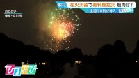 花火大会『有料席』全国で8割が導入「場所取り不要・トイレがスムーズ」メリットと有料化の背景は【ひるおび】
