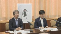 サクラの木などを食い荒らし倒木の要因にも…特定外来生物「クビアカツヤカミキリ」農水省と環境省が第1回の対策本部を開催