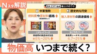 3年ぶり“4500品目超”の値上げラッシュに　深刻な物価高いつまで続く【Nスタ解説】