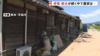 「今後の生活にも不安」断水・停電が続くなか猛暑日予想　技能実習生は避難所とビニールハウスを行き来し収穫作業… 最大震度7の熊本県宇城市