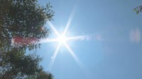 【速報】熊本市で40.3℃を観測 県内初の「酷暑日」 日没後も気温下がりづらくなる見込み　こまめな水分補給などできる限りの暑さ対策を