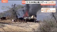 「ナスカの地上絵」ツアーで13人死亡　小型機墜落