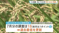 コメ価格 向こう3か月「安くなる」見通し強まる 指数は過去最低に