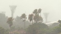 台風13号の影響（午後5時現在） 沖縄と鹿児島の約26万2500人に避難指示　沖縄で3人軽傷