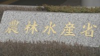 2025年度の食料自給率37％で過去最低の水準 コメ消費量が落ち込んだことなどが主な原因