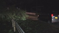 台風13号 沖縄本島地方が暴風域　東村で降水量200ミリ超　本島北部中心に約1万4000戸停電
