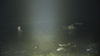 茨城・鉾田市の海岸で女性3人流される　1人死亡、1人重体　現場は人工岬「ヘッドランド」近くで遊泳禁止エリア
