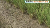 熊本県内 断水で農業にも被害　農林水産業関連の被害額は約233億円 さらに増加する見込み【熊本地震】