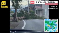 “逆走台風”15号 茨城県に初上陸 各地で倒木相次ぐ お盆期間中の空の便にも影響【news23】