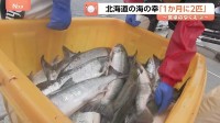 「仕入れ価格が2倍ぐらいに」北海道で獲れる食材に変化　海の幸カラフトマス「1か月に2匹」…温暖化をチャンスにサツマイモ栽培の新たな挑戦