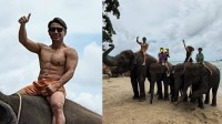 【 魔裟斗 】　タイ家族旅行で披露した肉体美に「リアルターザン」と大反響　象と触れ合う家族5人勢ぞろいショットも