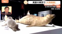 真夏の東京に南極！？日本科学未来館「大南極展」…“南極飯”一番人気のメニューは？【Nスタ】