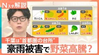 千葉豪雨で“首都圏の台所”が悲鳴　コメに泥のニオイ、種40万粒まき直し…秋冬に野菜高騰の恐れ【Nスタ解説】
