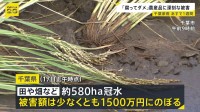 【台風18号】週末に「非常に強い勢力」に発達へ　千葉豪雨の被災地では断水解消…“水没車”撤去も農作物への被害が深刻【news23】
