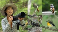 【 磯野貴理子 】　山梨の豊かな自然を満喫　野鳥にカブトムシ 信玄ゆかりの名水まで…大自然に親しむ姿に「自然の空気が伝わる」「目線が素敵」