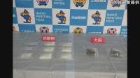 覚醒剤使用の疑いでイラン国籍の男（57）逮捕　覚醒剤など密売していた可能性もあるとみて捜査　茨城県警