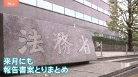 「買う側」へ新たな罰則を…「路上売春問題」で法務省が報告書案を提示 当事者からは「稼げずに死んじゃう子も増えるのでは」と切実な声