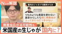 「日本農業が脅かされるリスクも」アメリカ産の生ジャガイモ全面輸入解禁へ高まる警戒感【Nスタ解説】