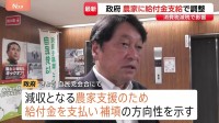 食料品の消費税減税をめぐり農家に給付金を検討　政府