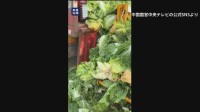 中国　白菜を発がん性指摘のホルムアルデヒドに浸したか「鮮度保つため」