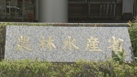 農水省が来年度予算の概算要求で約3.1兆円要求　消費減税の対応にかかる予算は金額示さない「事項要求」