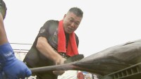 元プロ野球選手佐々木主浩さんも出場 茨城県沖でカジキ釣り国際大会 3日間にわたり開催 優勝チームには賞金300万円