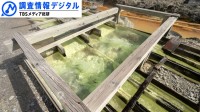 農業高校の生徒が「湯の花」から農薬や土壌改良剤の代替品を開発 ＜シリーズSDGsの実践者たち＞【調査情報デジタル】