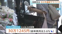 7月の消費支出3.6%減で8か月連続マイナス　節約志向の一方で外食やゲーム課金の消費拡大　総務省家計調査