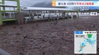 記録的大雨で大量の流木が漂着　高速船が接岸できず欠航するなど生活に影響　鹿児島・屋久島町 宮之浦港