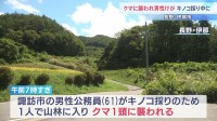 キノコ採りで山林に入った61歳男性がクマ1頭に襲われ顔などけが 会話はできる状態　長野・伊那市