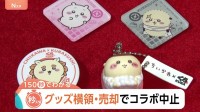 「ちいかわ×くら寿司」突如コラボ中止　転売など“トラブル懸念”あってもなぜコラボ？企業の思惑とは【Nスタ解説】
