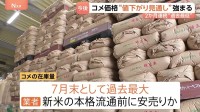 コメ価格“値下がり”見通し強まる　新米の本格流通を前に「コメ余り」も…政府の備蓄米買い戻しも影響か