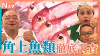 外国人にも人気の鮮魚スーパー「角上魚類」 なぜこれほど新鮮で安い？驚きの舞台裏をあばれる君と魚好きブラジル人親子が調べてきました！【それスタ】