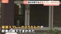 「遊び半分で噴射」中学校で催涙スプレーのようなものがまかれる　中学2年の男子生徒を傷害疑いで現行犯逮捕　24人が目の痛みなど訴え　大阪・貝塚市