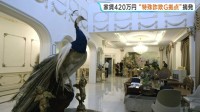 家賃は月420万円 タイ・バンコクで特殊詐欺グループの拠点とみられる高級住宅摘発 日本人ら計15人を拘束 “詐欺マニュアル”など押収