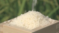 【速報】スーパーのコメ価格 およそ2年ぶりに3000円を下回る　新農水大臣「生産者にとって受け入れられない状況になりつつある」