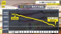 スーパーのコメ価格 5キロ2971円に　2年ぶり水準まで下落　簗農水大臣はコメ生産者への影響懸念