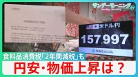 “5連休直撃”物価高どこまで？消費減税「制度設計」決定も、財源“先送りで”続く円安”？「物価の番人」日銀が利上げも“止まらぬ円安”　【サンデーモーニング】