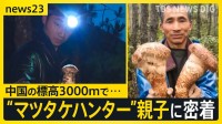 【秋の味覚の王様】中国の標高3000mで「巨大マツタケ」を発見…一攫千金を狙う“親子ハンター”に密着…父の背中追う息子は「マツタケ王になりたい」【news23】
