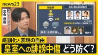 「人生壊される恐怖感」皇室への誹謗中傷どう防ぐ？　“不敬罪”一部から懸念の声も…表現の自由とのバランスは？【news23】