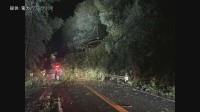 千葉の停電「復旧の見通し立たず」午前10時時点で約1万900軒…多くの地域で長期化の可能性　東京電力パワーグリッド