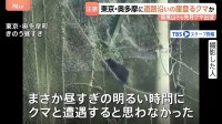 都内でクマ出没か「黒いものが前を」…道路沿いの崖を軽やかに登る様子　キャンプや登山で観光客多く訪れる東京・奥多摩町で