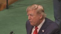 トランプ大統領　イランが新たに提案した「7日以内のホルムズ海峡の開放」などを拒否する意向　アメリカ・メディア報道