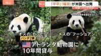 中国“パンダ外交”　オス「平平」とメス「福双」がアメリカへ出発　ジョージア州アトランタ動物園に10年間貸与