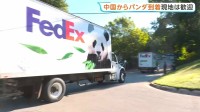 ジャイアントパンダ2頭「平平」「福双」が米アトランタに到着 中国から10年間貸与予定「お互いにとって良いこと」