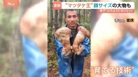 【中国の“マツタケ王”に密着】4時間で約11万円の成果 顔の大きさほどの特大サイズも… 父から息子へ受け継ぐマツタケハンターの技