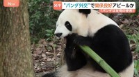 米アトランタに中国からジャイアントパンダ2頭到着「新たな楽しみが増えた」中国は“パンダ外交”でアメリカとの関係良好アピールか