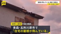 塀が倒れ木材散乱…住宅など10軒程度で被害 一時約300軒で停電も 青森・五所川原市