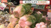 来月は白菜やレタス、ピーマンなどが高騰か　各地で続く長雨の影響